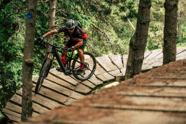 New 15km bike park in the heart of Pines forrest